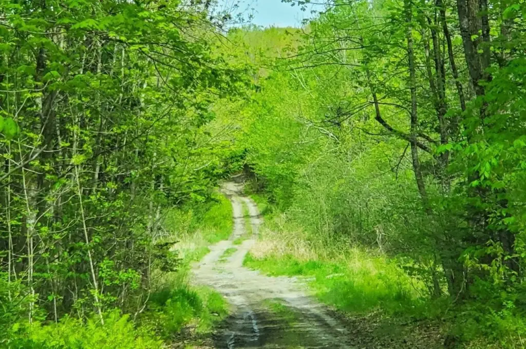 Picture 28