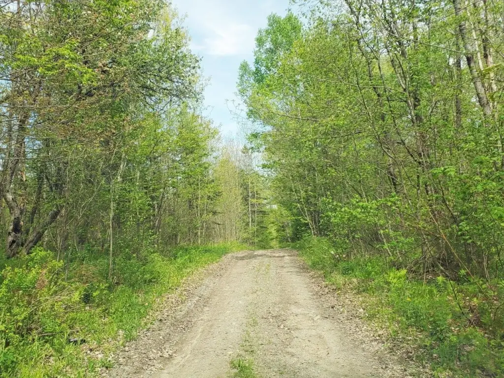 Picture 21