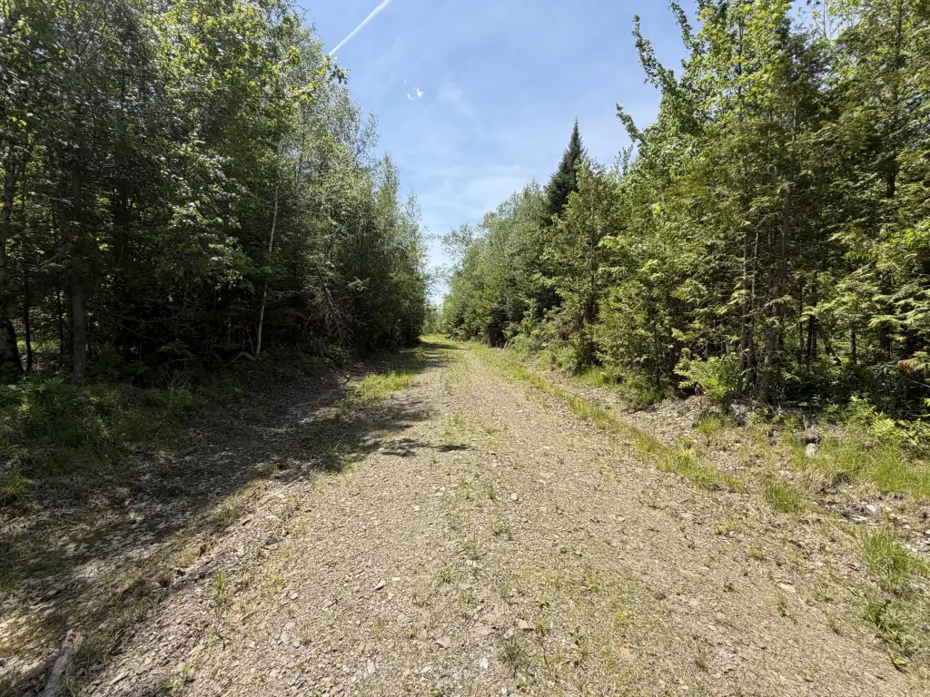 Picture 4