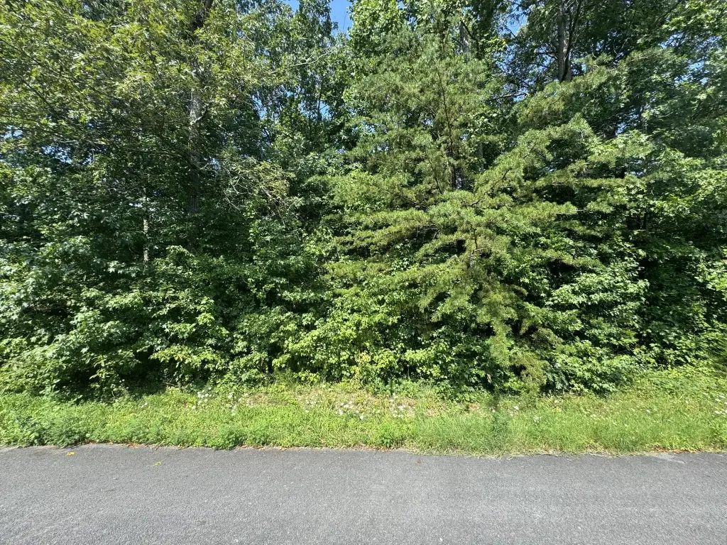 Picture 2