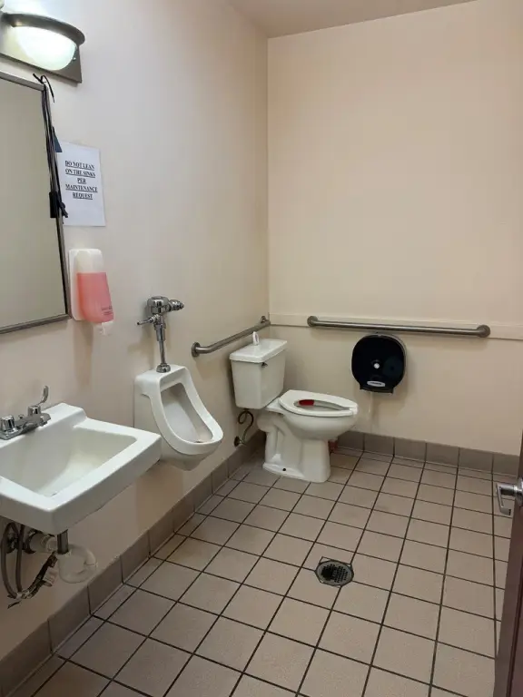 Picture 13