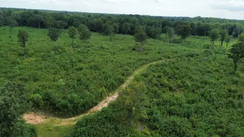 25 Acres Near Great Pee Dee