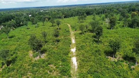 30-Acre Tract Near Great Pee