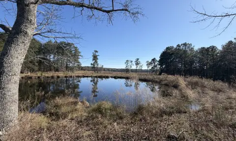 Land with Open Pasture