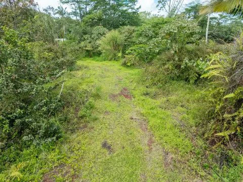 Cleared Land in Pahoa, Hawaii