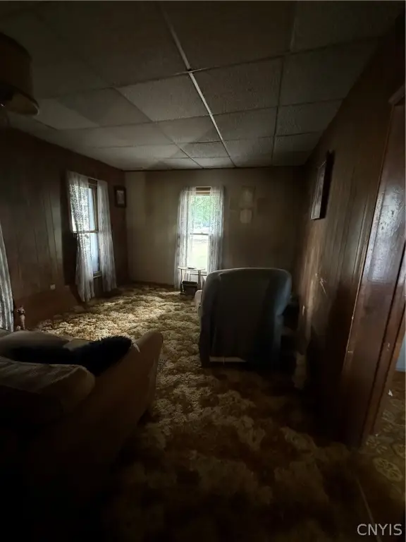 Picture 4