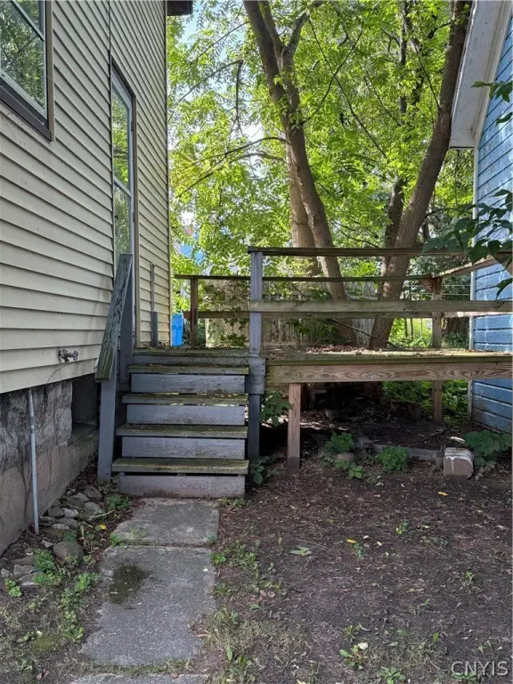 Picture 19