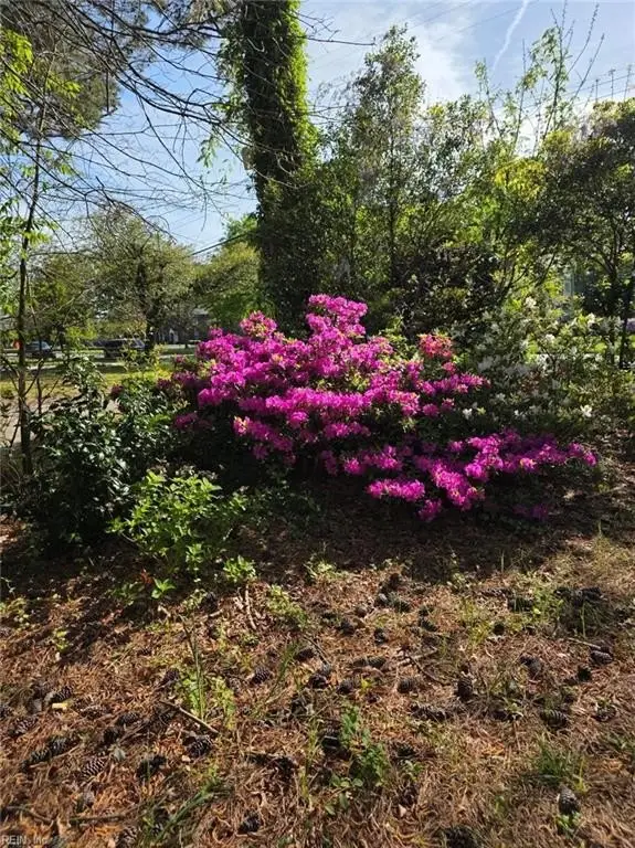 Picture 4