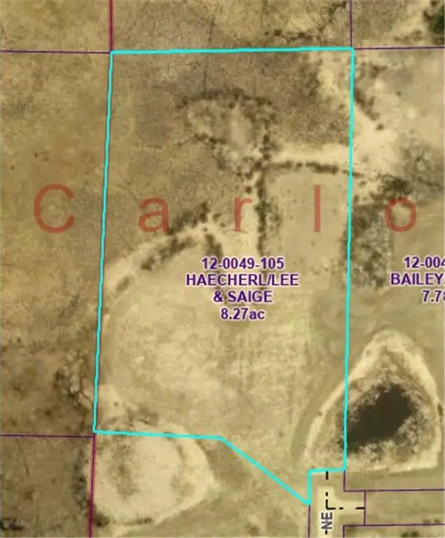 Picture 19