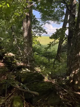 Calais Land with Forestry Potential