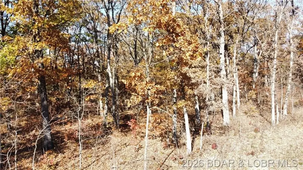 Picture 10