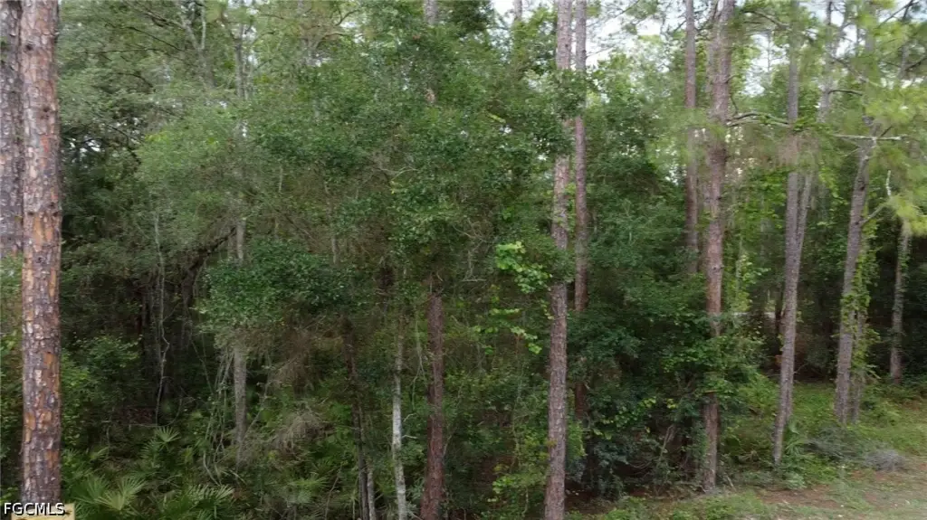 Picture 8