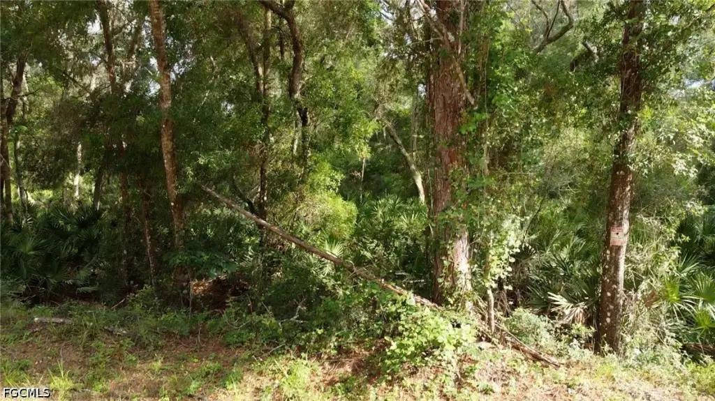 Picture 16