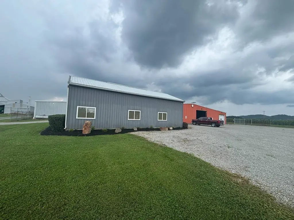 Picture 15