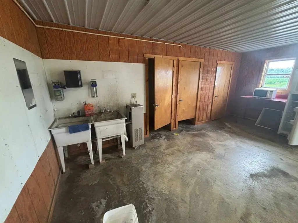 Picture 47