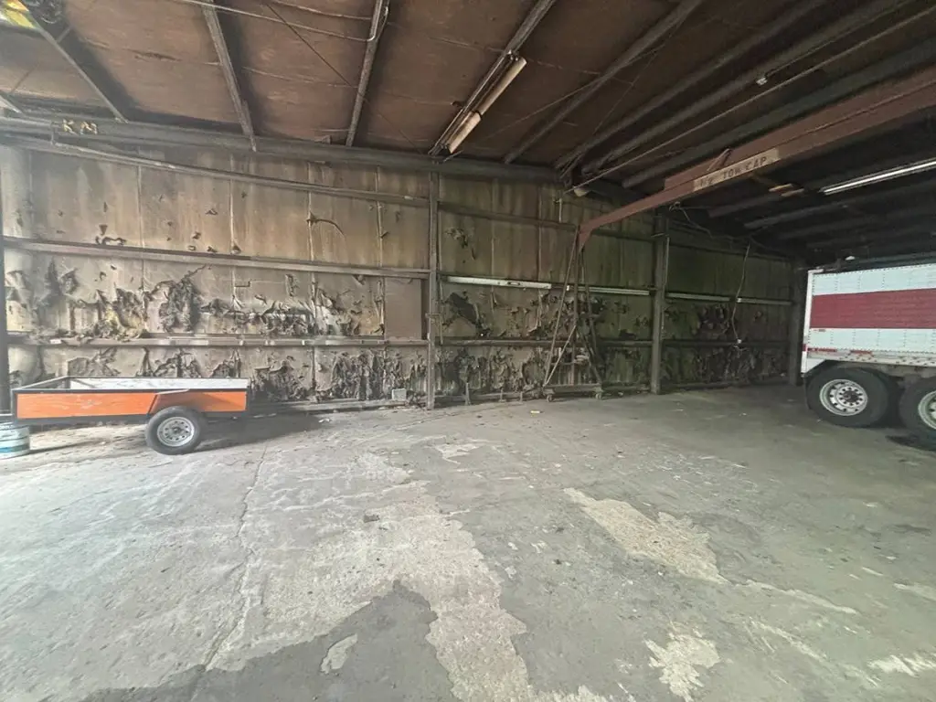 Picture 41