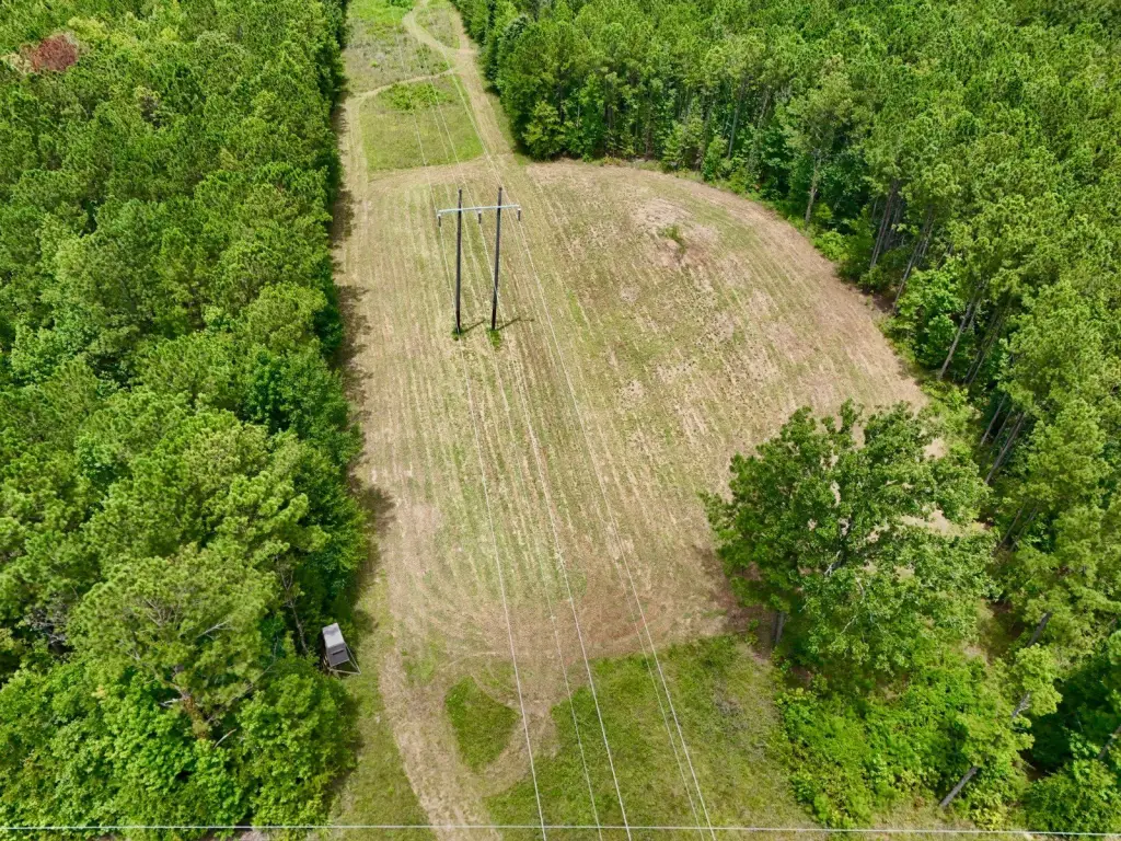 Picture 14