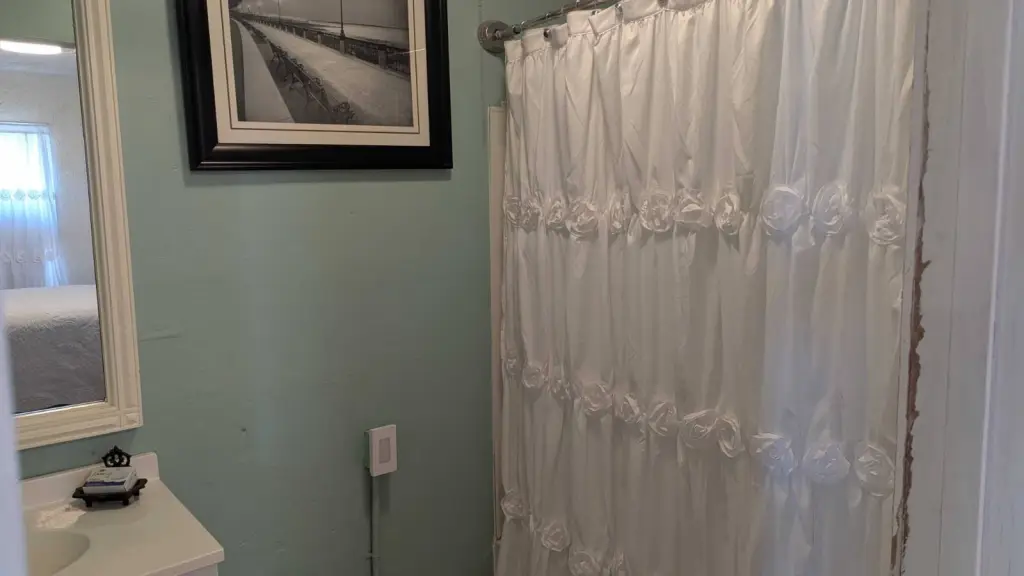 Picture 21