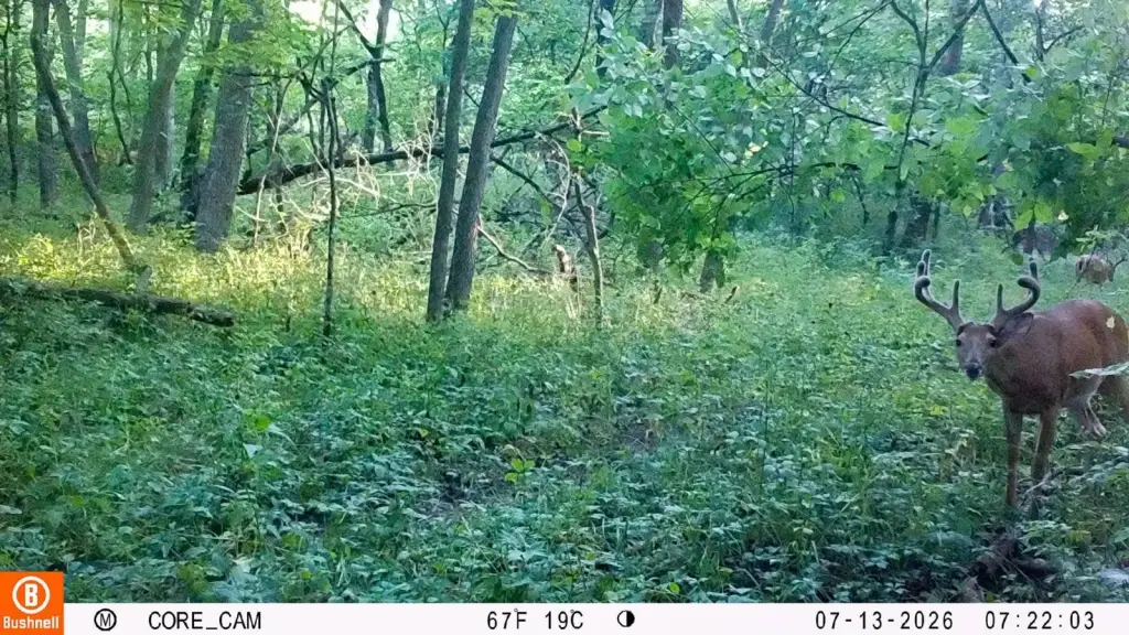 Picture 23