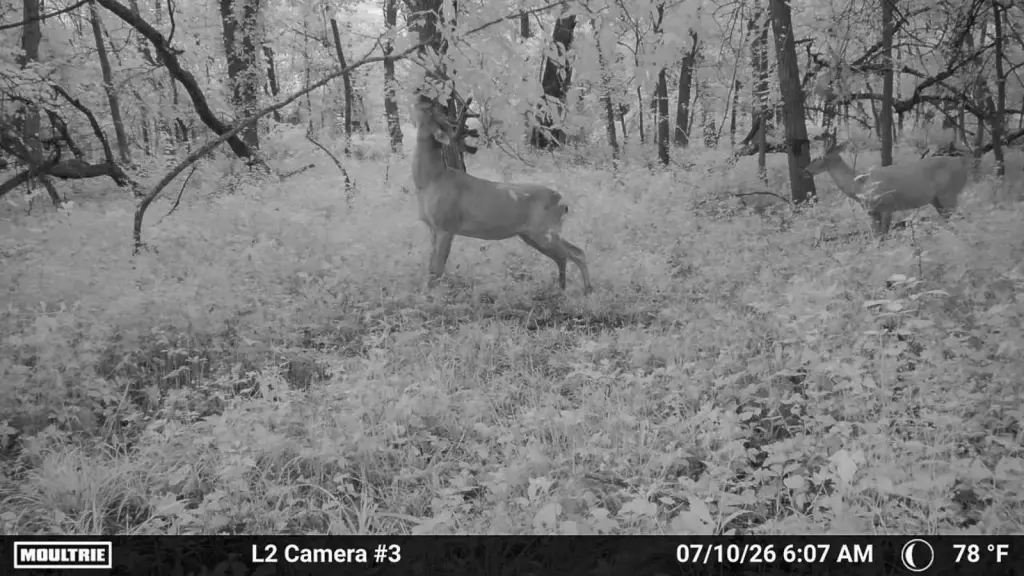 Picture 14