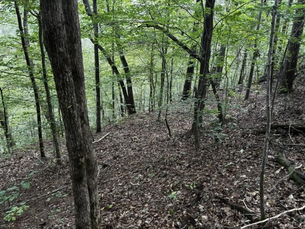 Picture 4