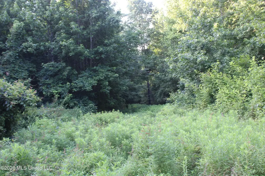 Picture 13