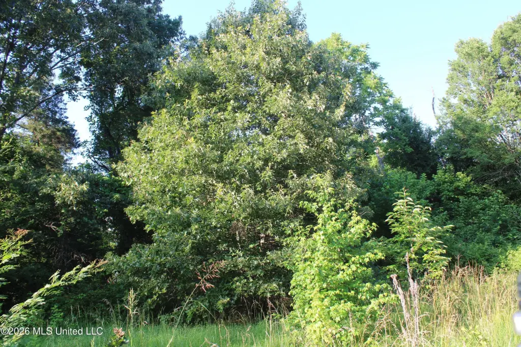 Picture 19