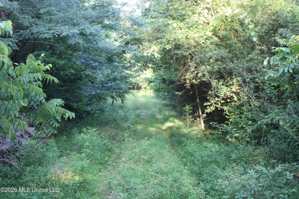 Picture 22