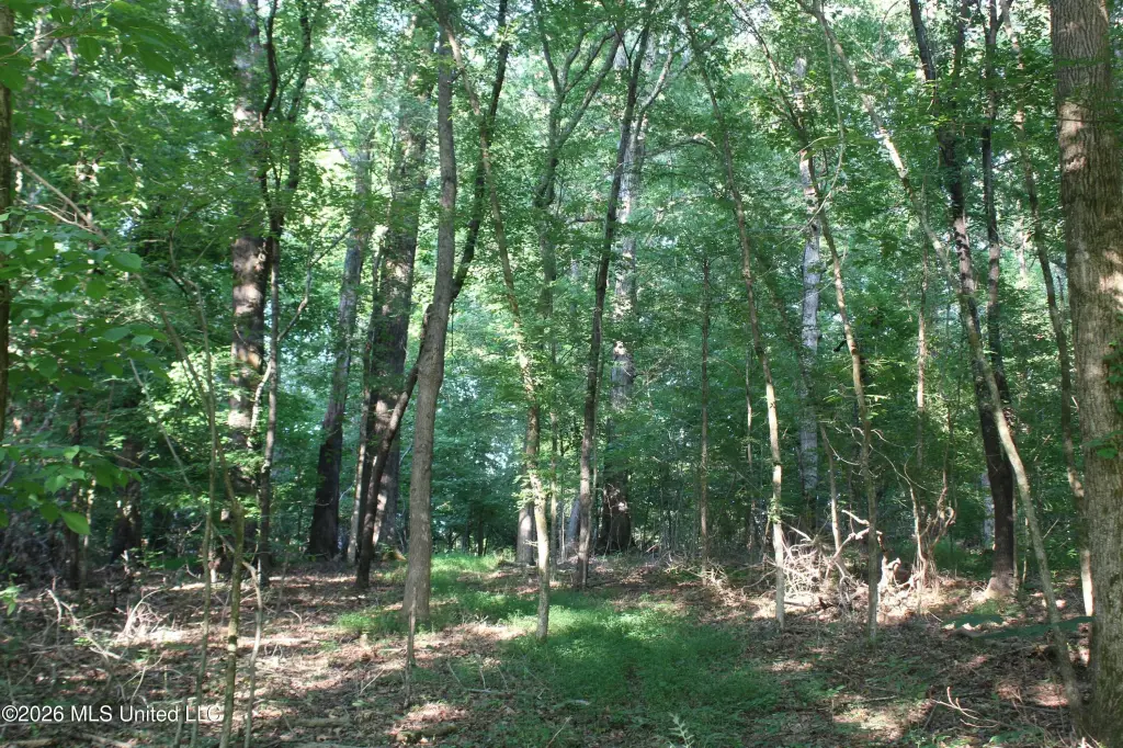 Picture 24