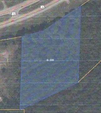 Undeveloped Land in Henry, TN