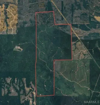 Pittsview, AL Land For Sale