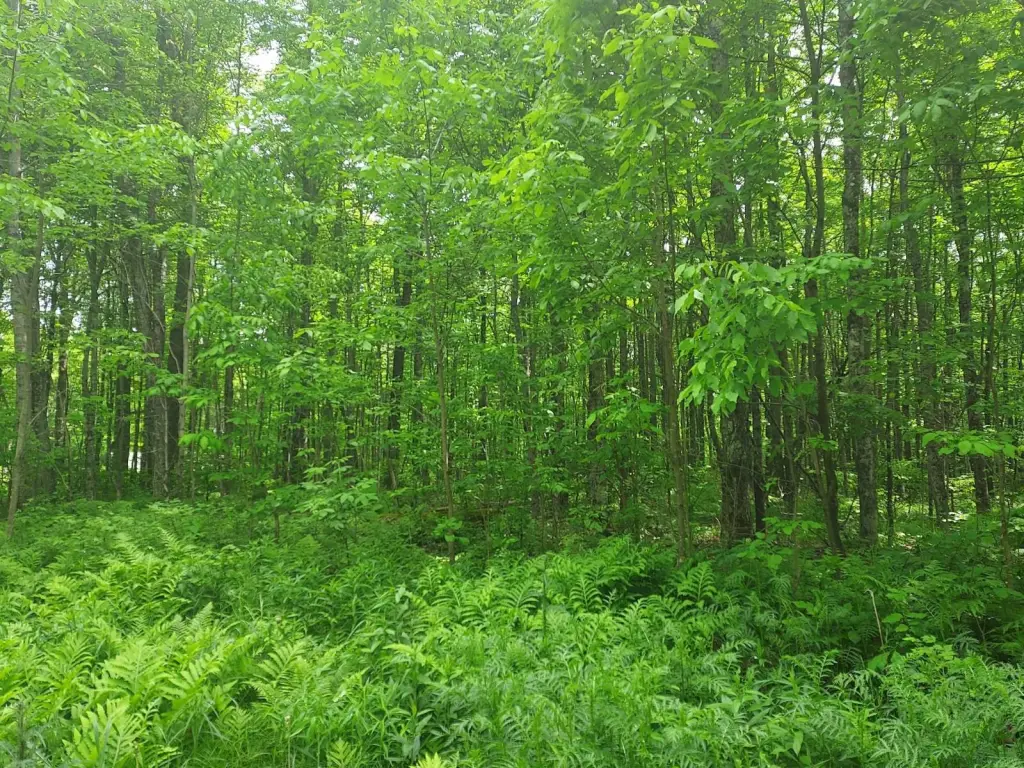 Picture 8