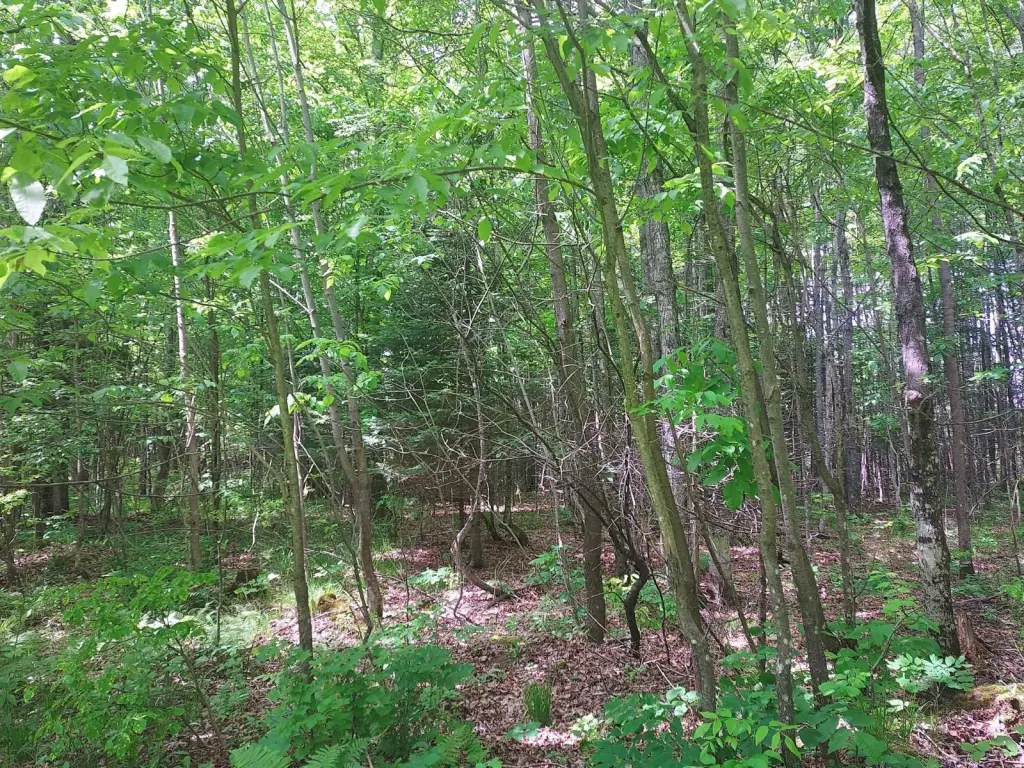 Picture 4