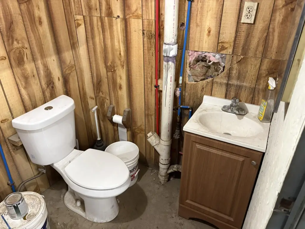 Picture 31