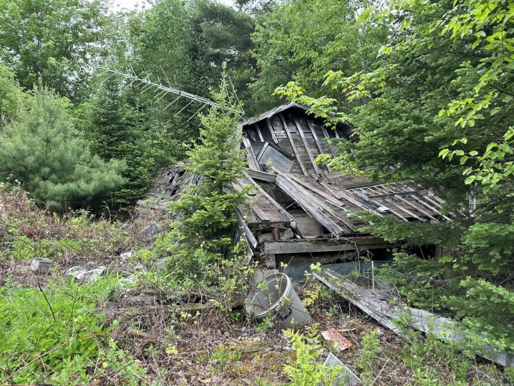 Picture 5