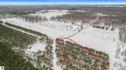 Kalkaska Wooded Parcel For Sale