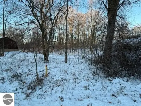 Perrinton, MI Vacant Wooded Lot