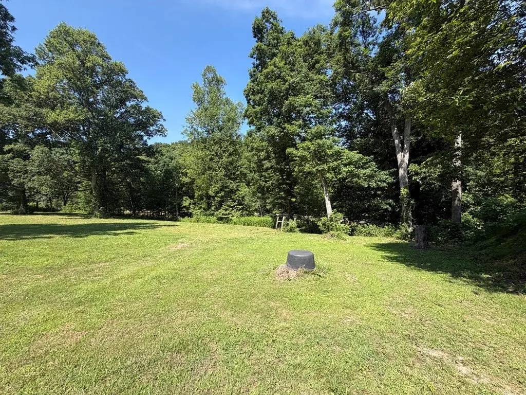 Picture 18