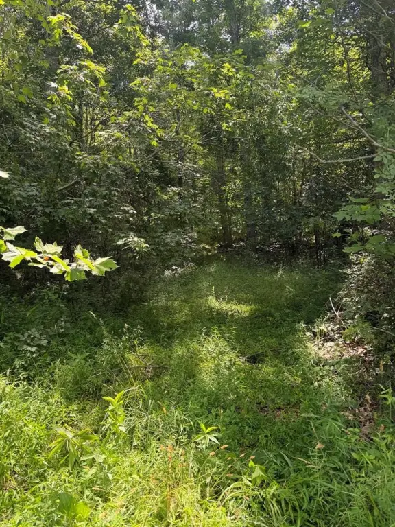 Picture 22