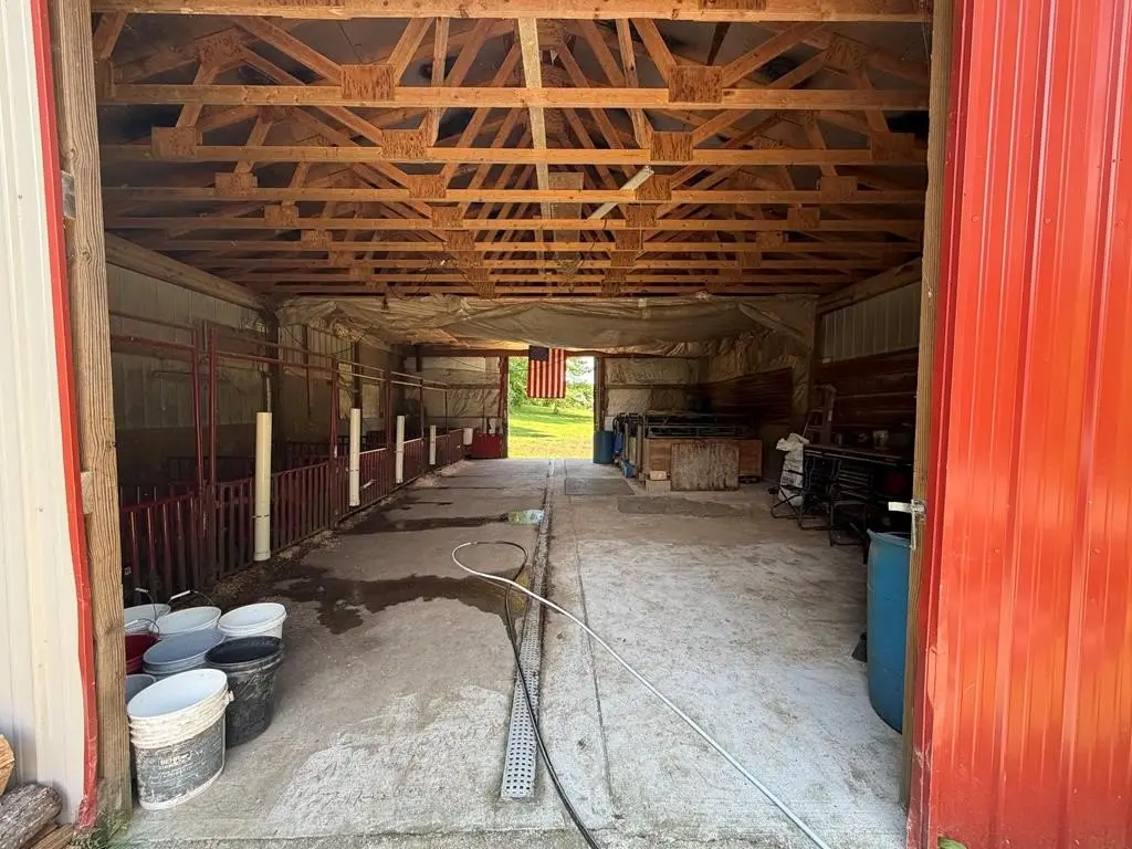 Picture 17