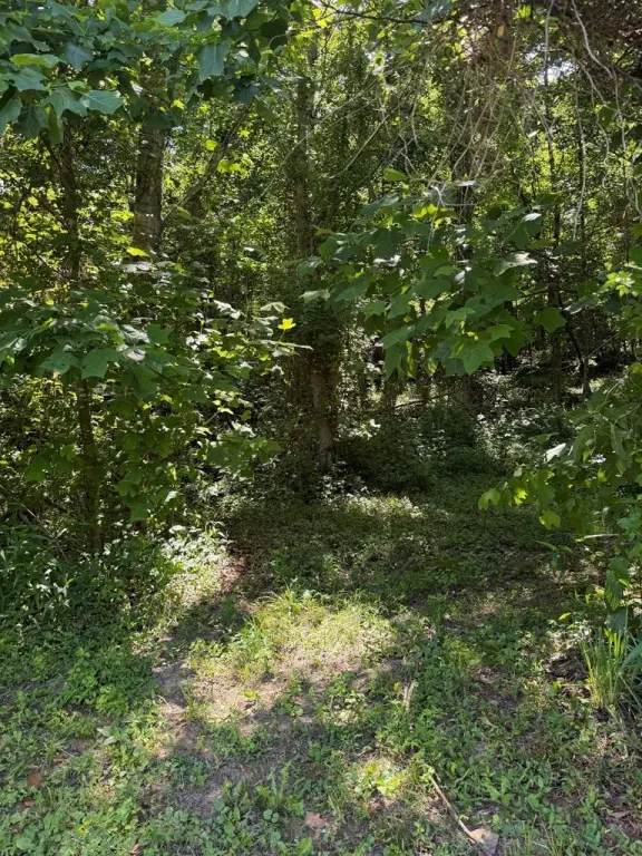 Picture 20