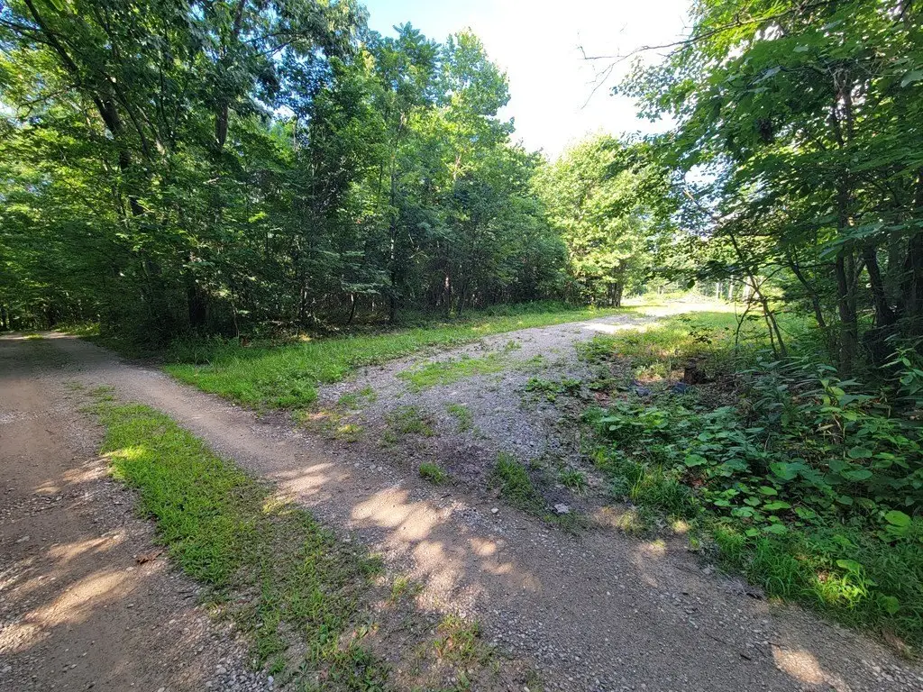 Picture 3