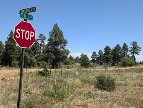 Corner Lot in Pagosa Springs