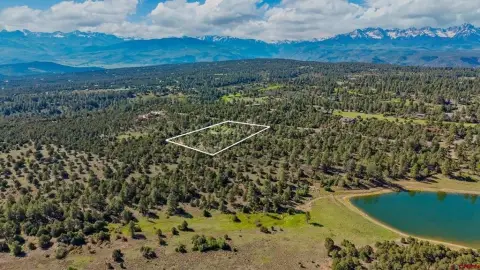 Southwest Colorado Acres Homesite