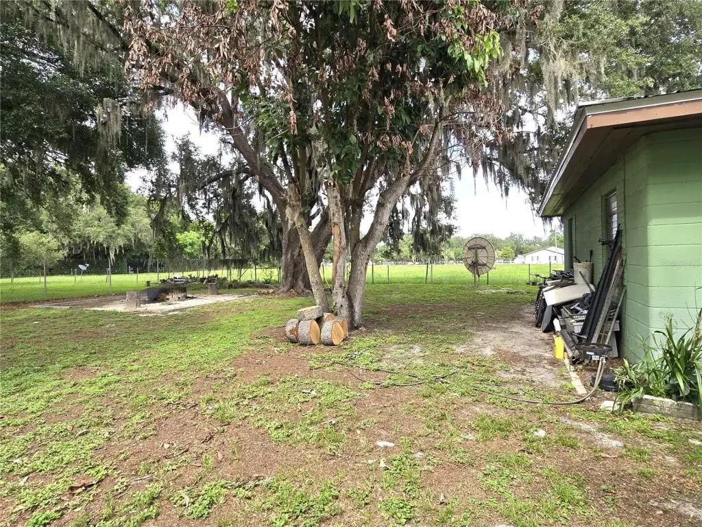 Picture 17