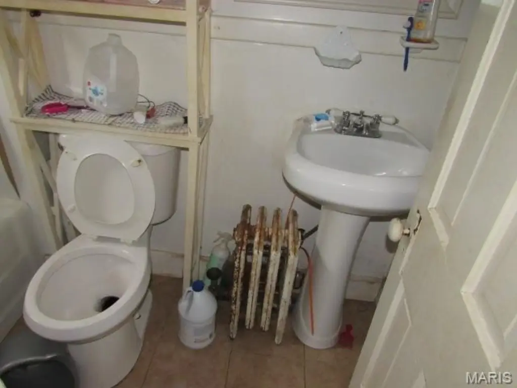 Picture 19