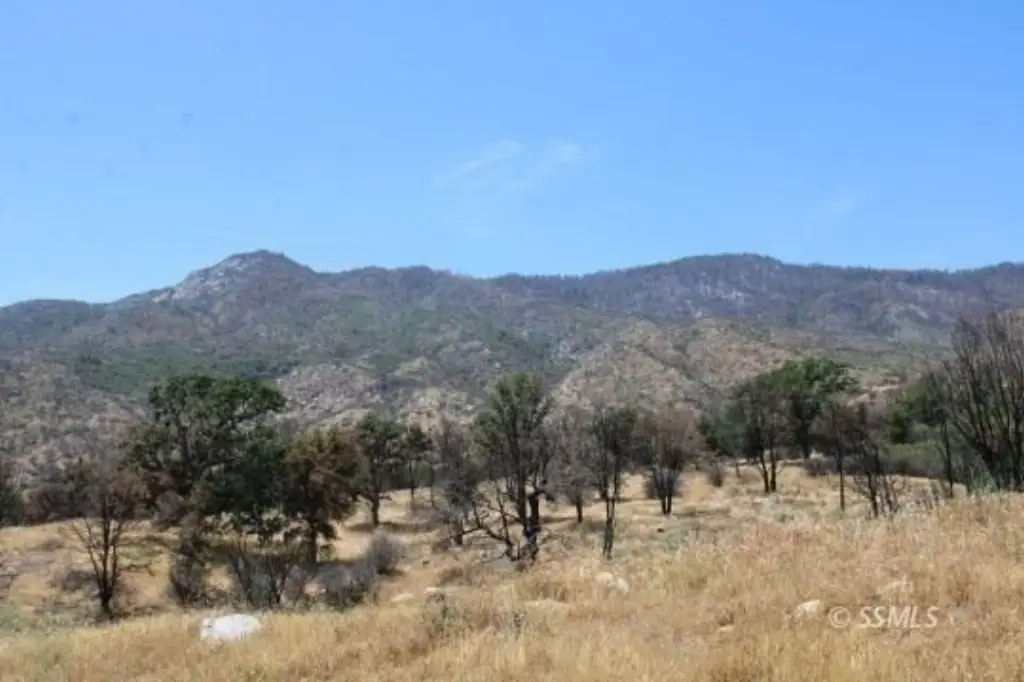Picture 29