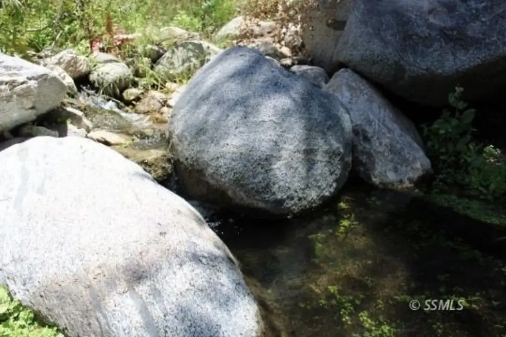 Picture 24