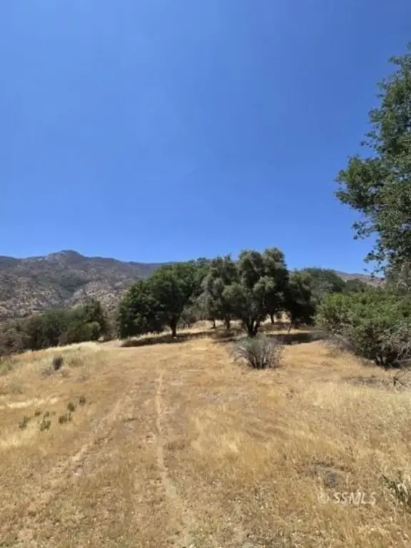 Picture 38