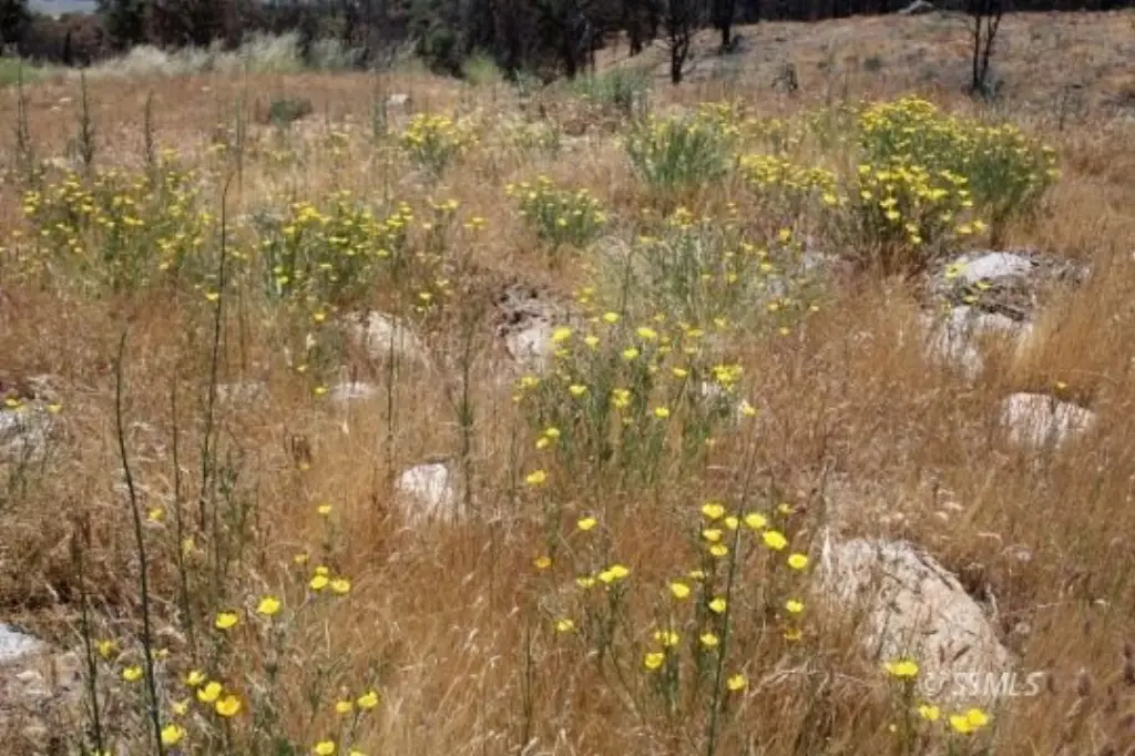 Picture 19